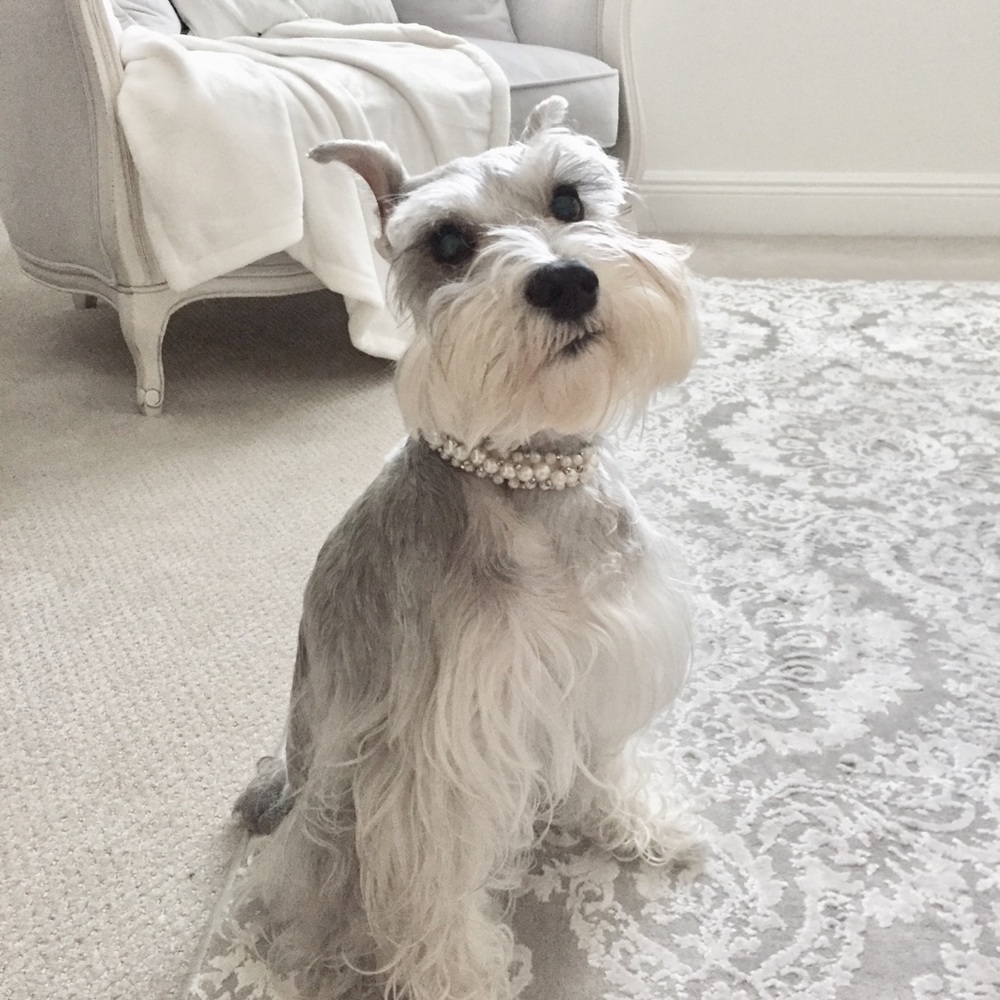 Meet your Posher, Michelle